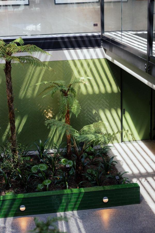 Ebb-Dunedin Esterno foto The interior of the conservatory